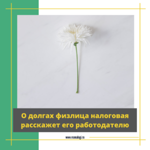 О долгах физлица по налогам налоговая расскажет его работодателю